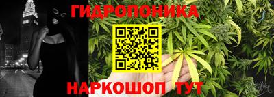 ешки Чапаевск
