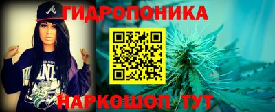 сатива Шахты