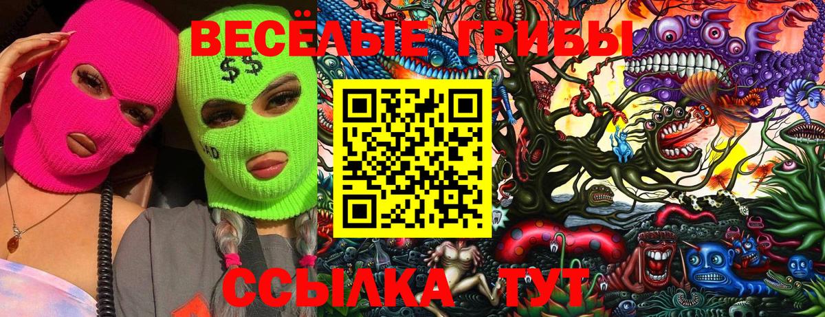 Галлюциногенные грибы ЛСД Сланцы